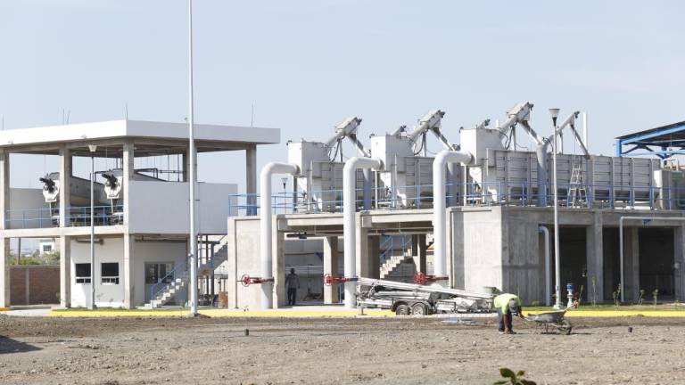 palnta-5_1-366546_20210312100852 (1)